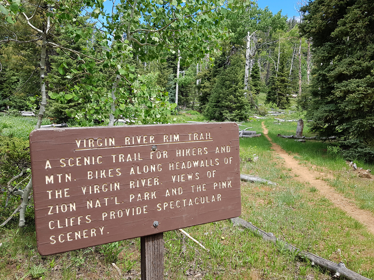 virginrim-trail9.jpg