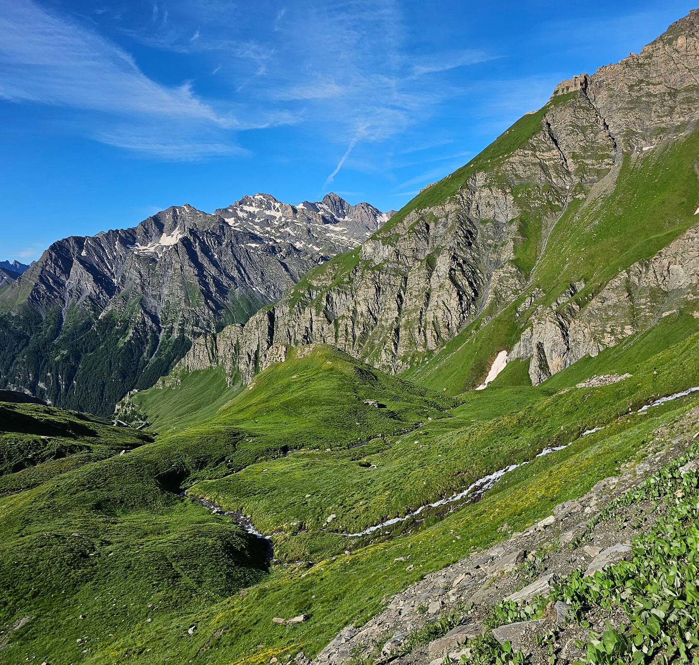 agnello-uphill4.jpg