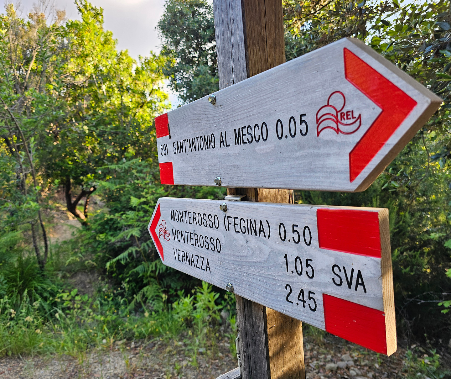 monterosso-trail2.jpg