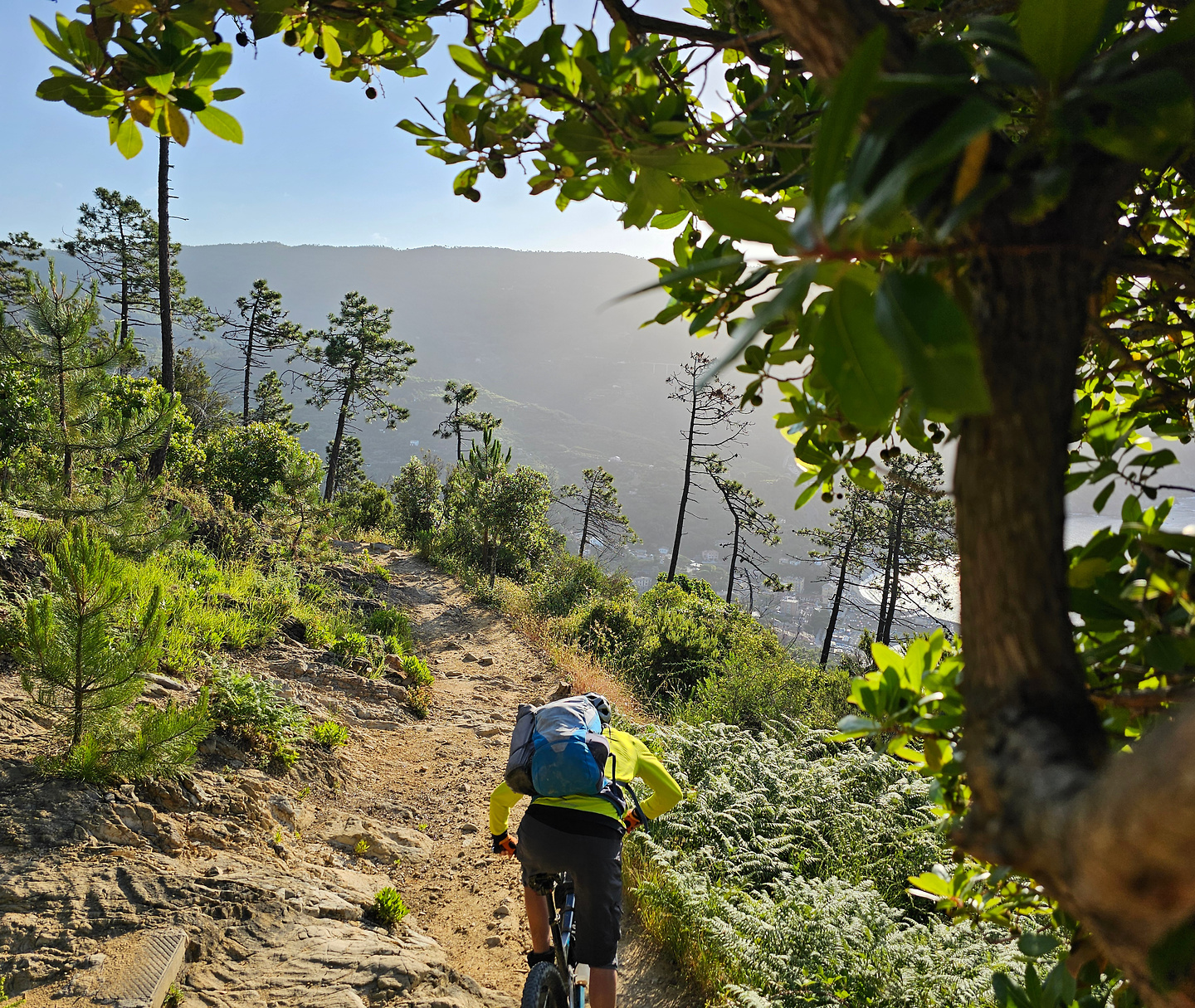 monterosso-trail3.jpg