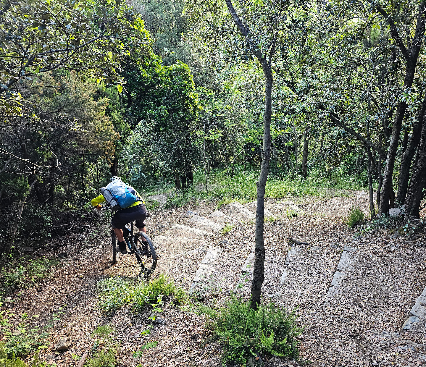 monterosso-trail5.jpg