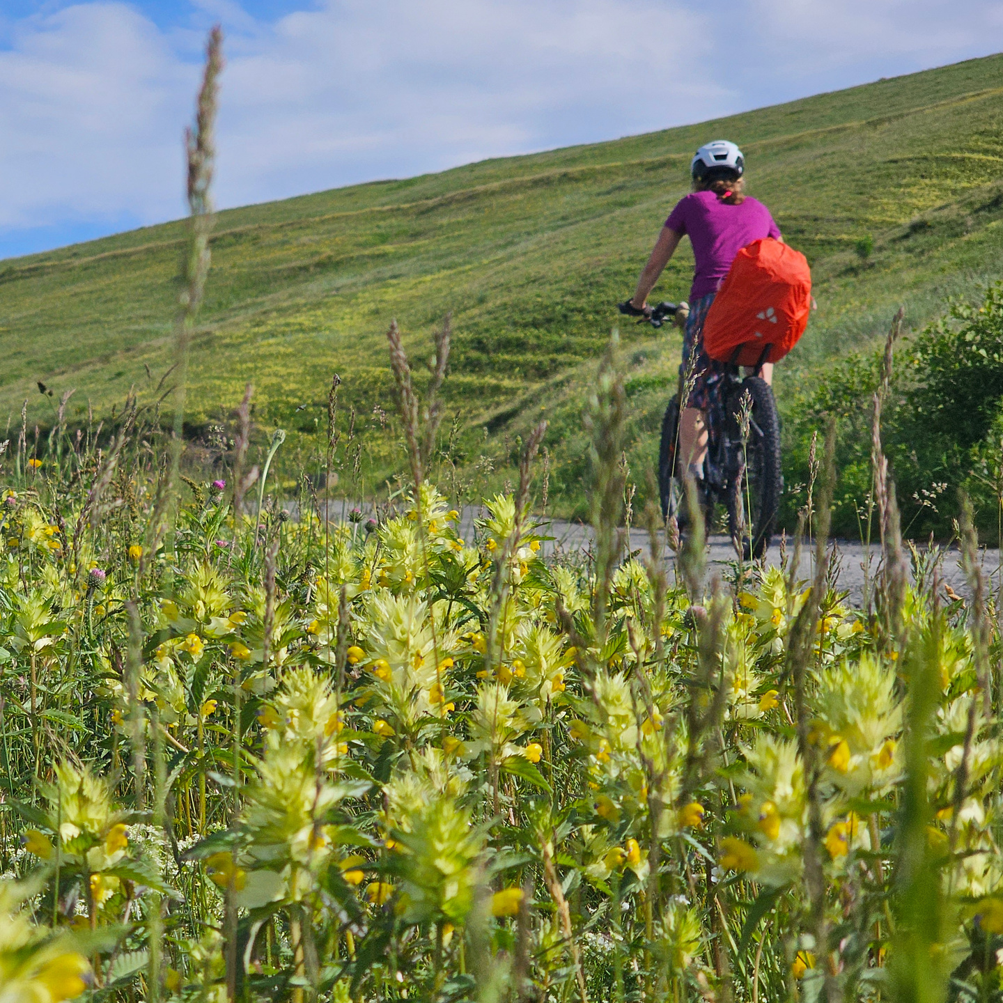 sampeyre-uphill5.jpg