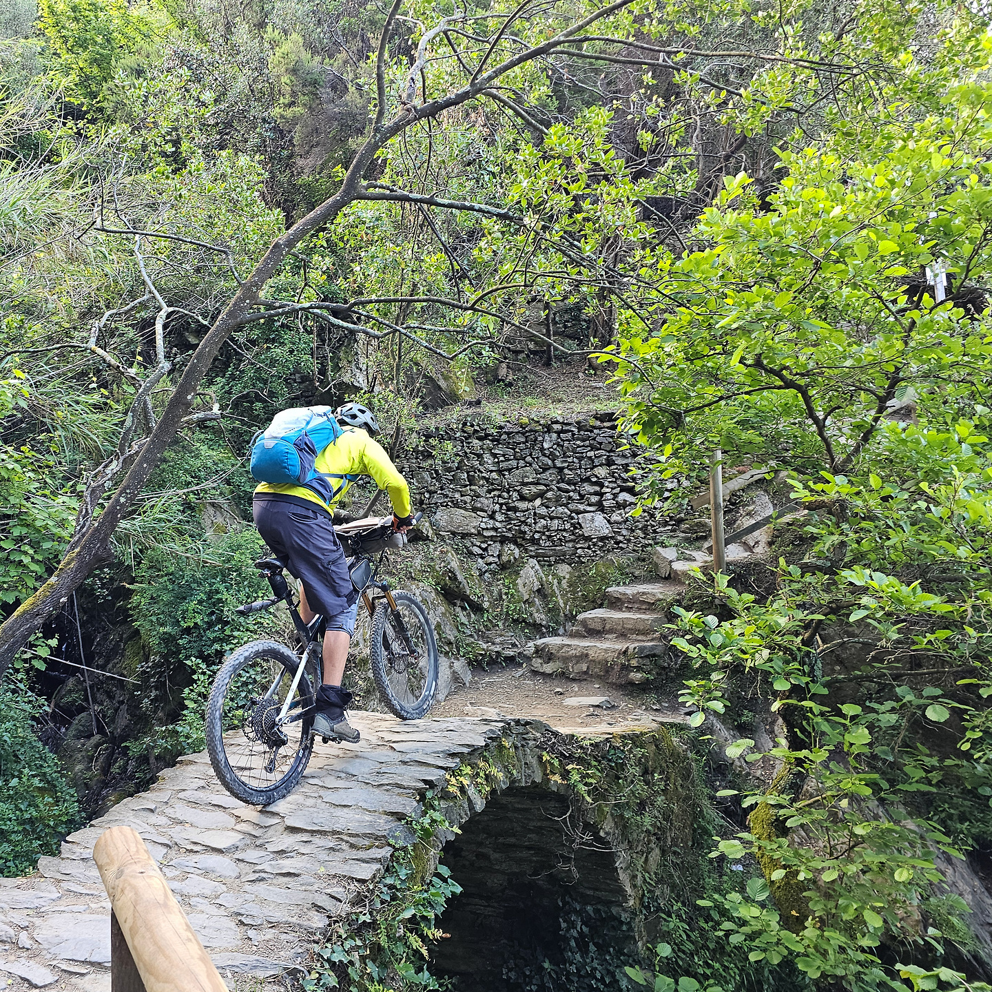 vernazza-trail4.jpg