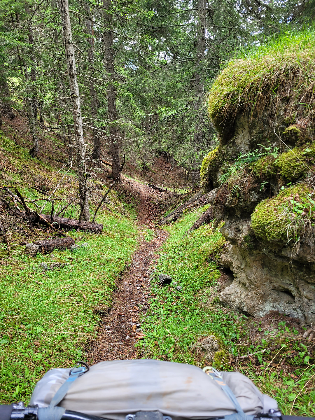 roure-trail4.jpg