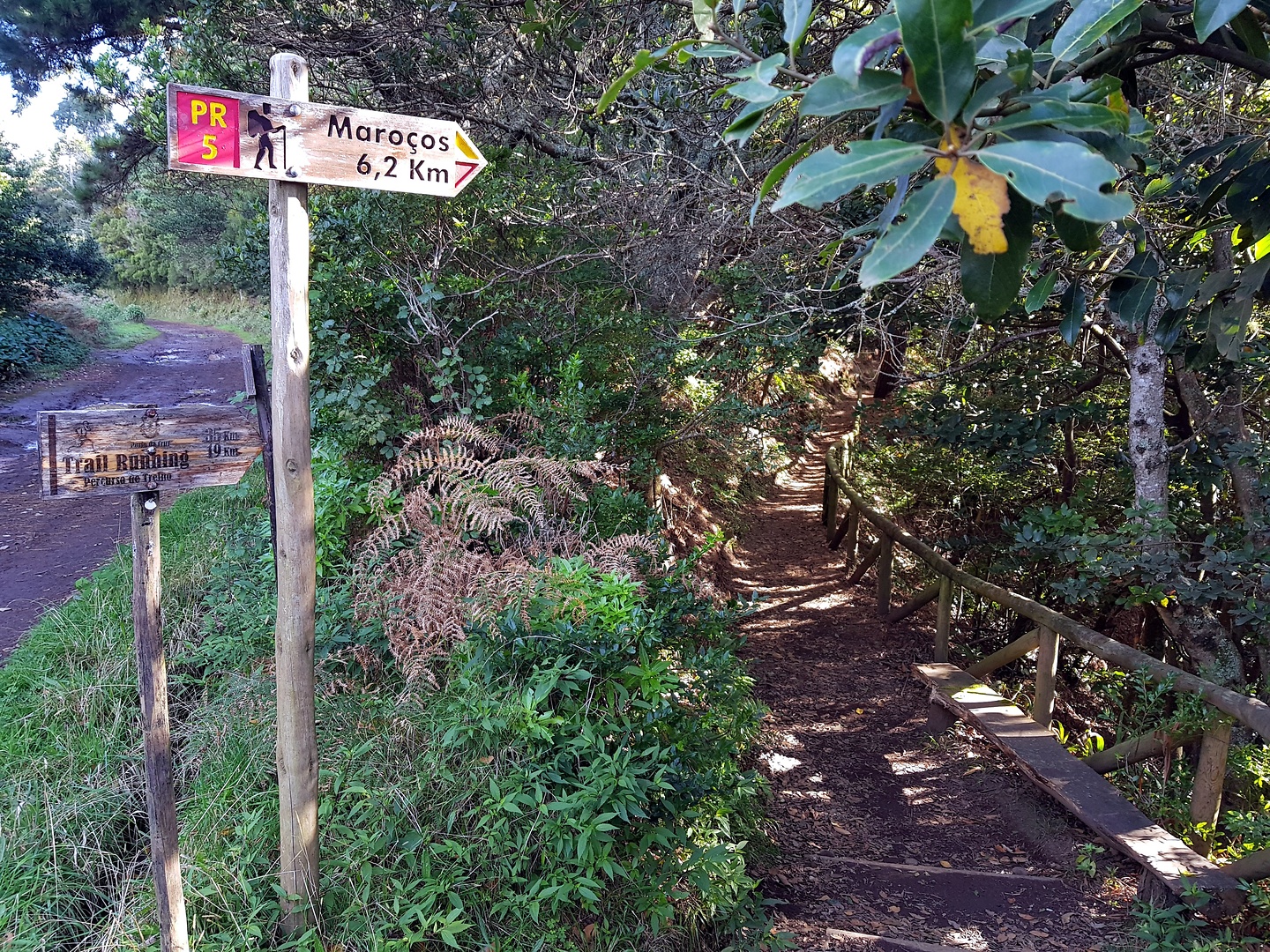 portela-pr5trail1.jpg