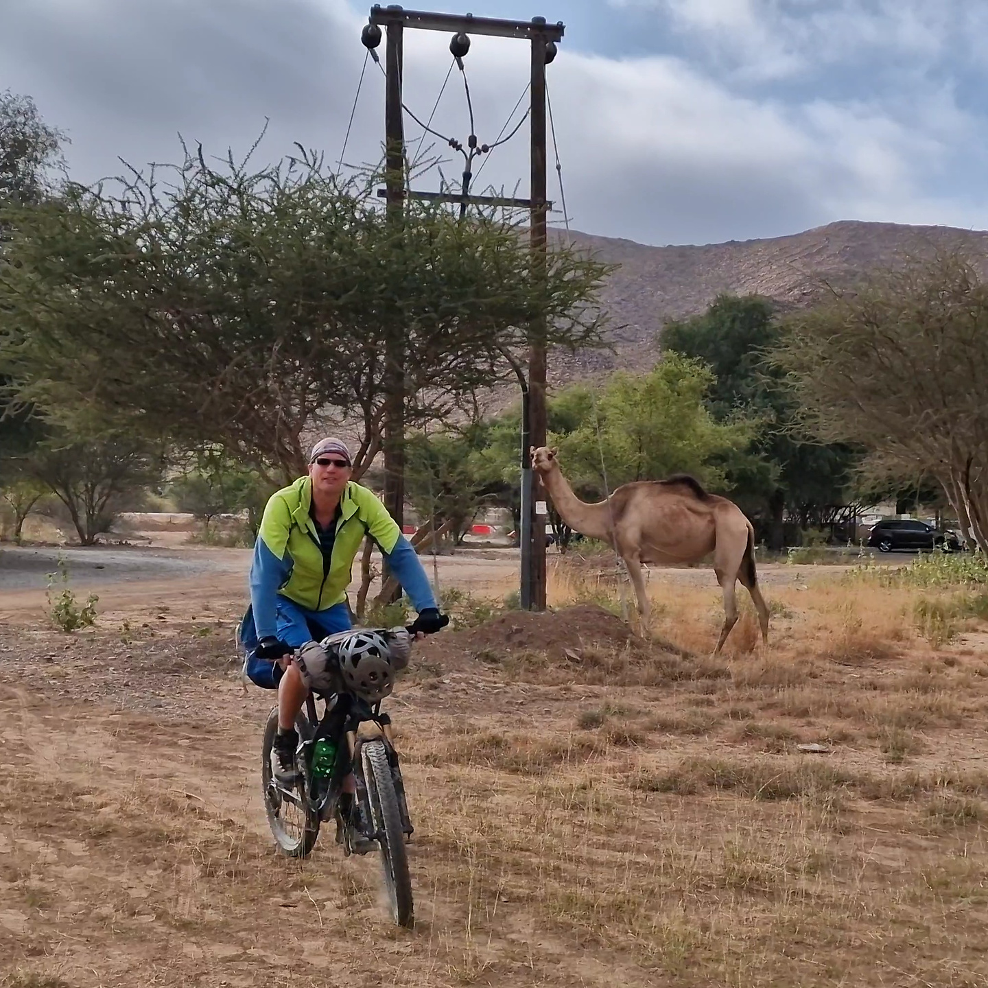 birkat-camels.jpg