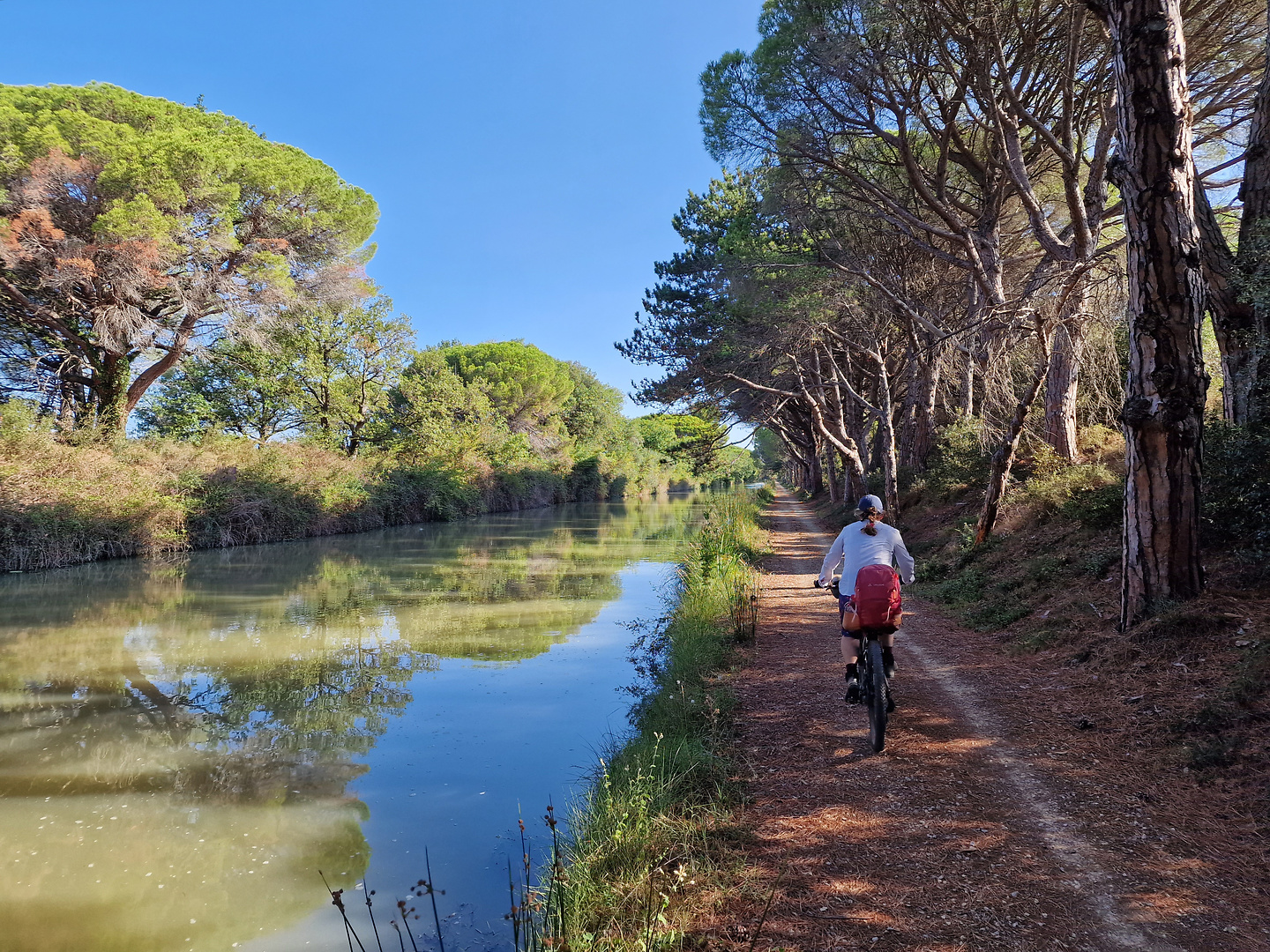 canalmidi-cyclepath5.jpg