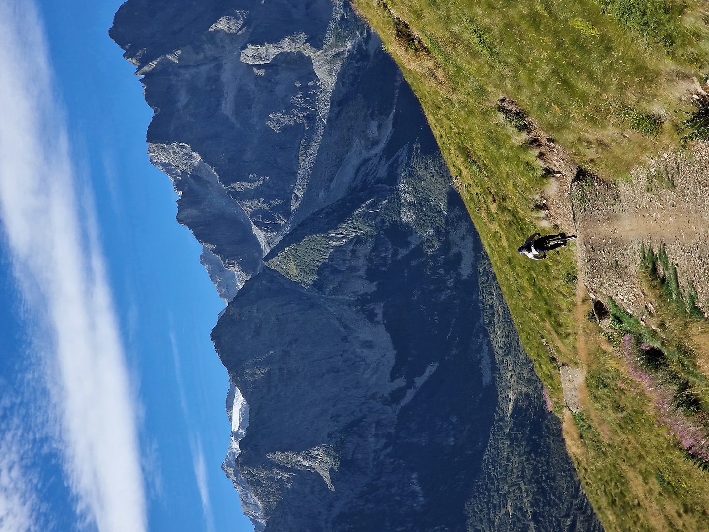 tonale-bikepark1.jpg