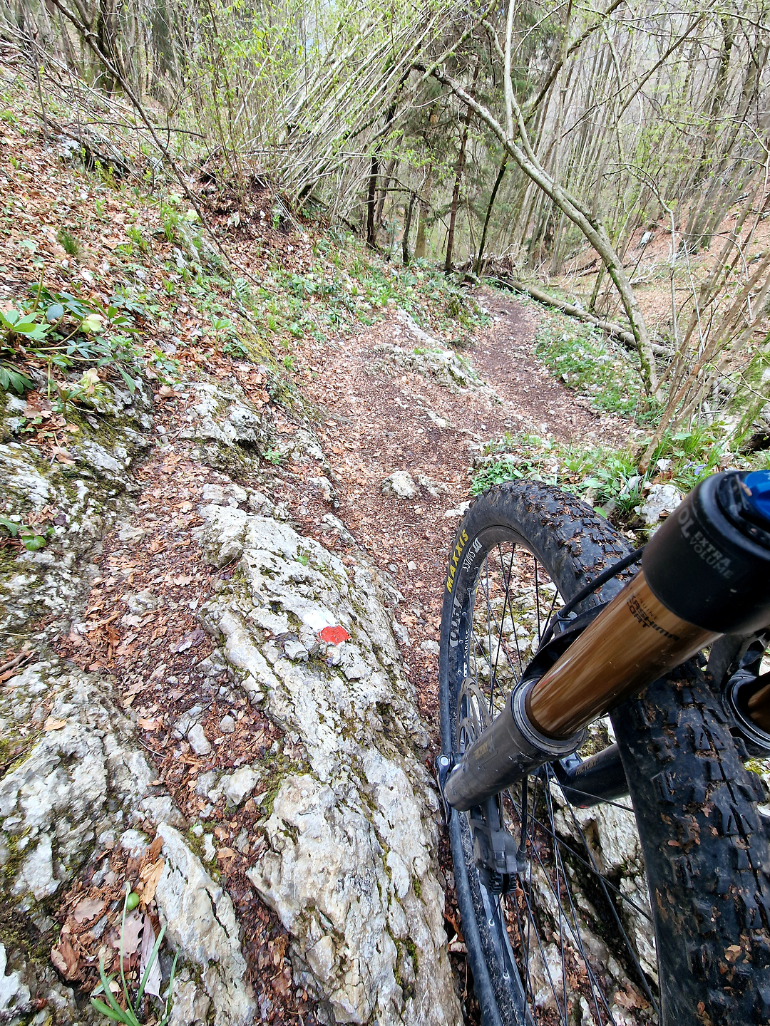 sovere-trail4.jpg