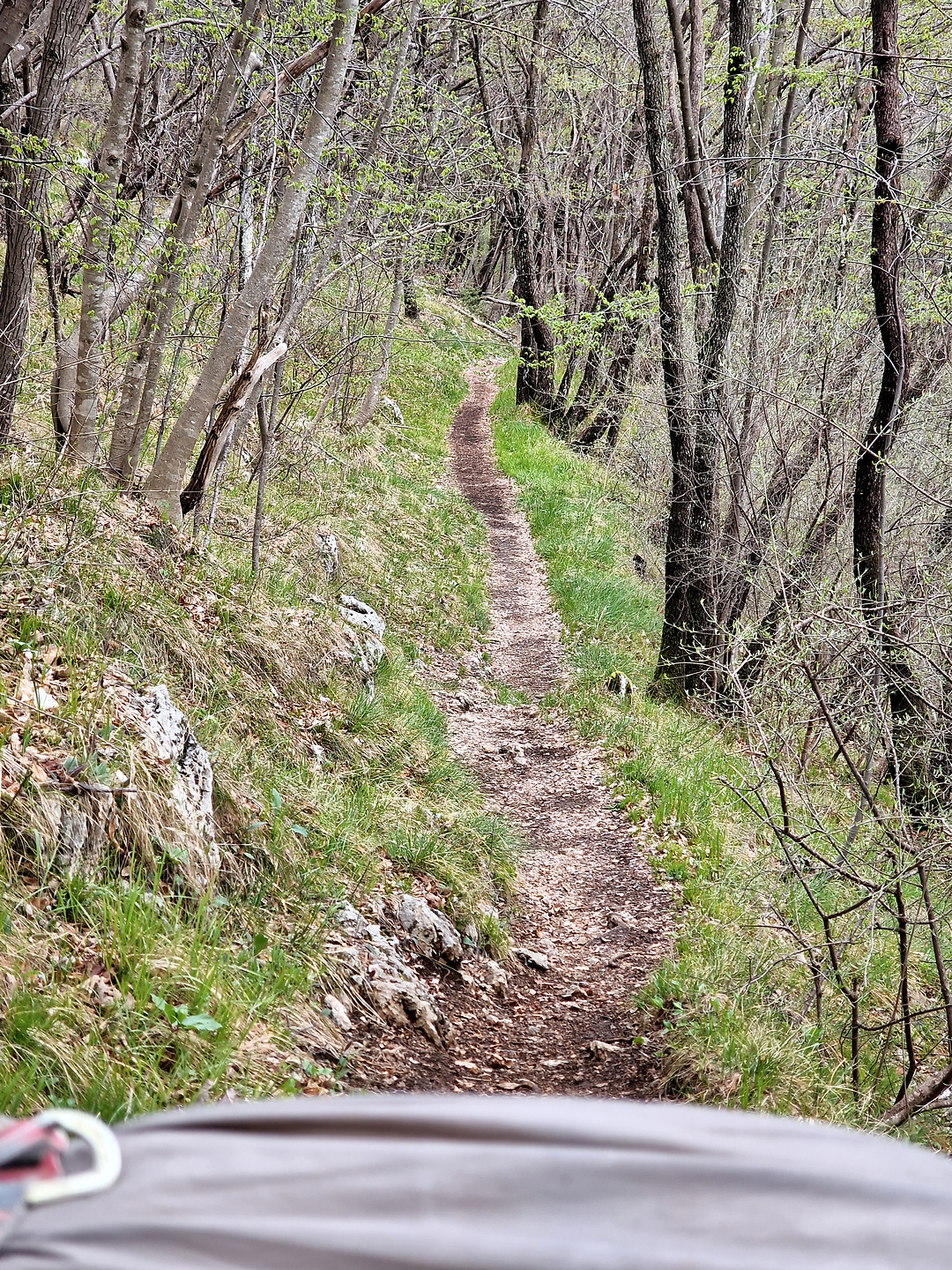 sovere-trail5.jpg