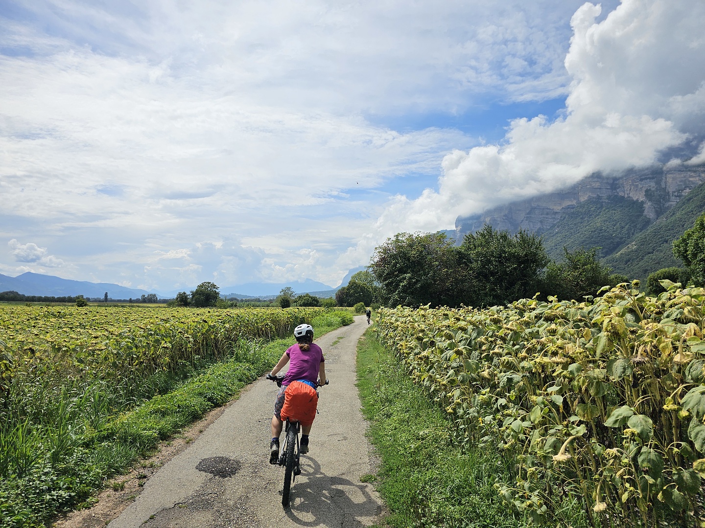 albertville-cyclepath4.jpg